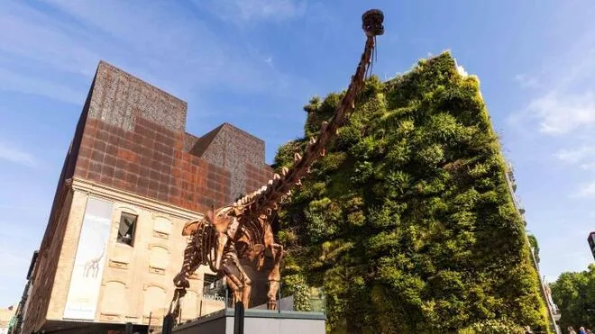 Caixaforum Madrid viaja a la Patagonia mesozoica en una impresionante muestra de dinosaurios