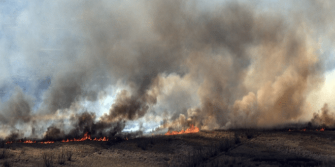 Ley Nacional del Manejo del Fuego en Argentina