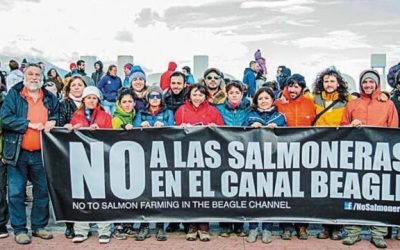 No a las Salmoneras en Canal Beagle