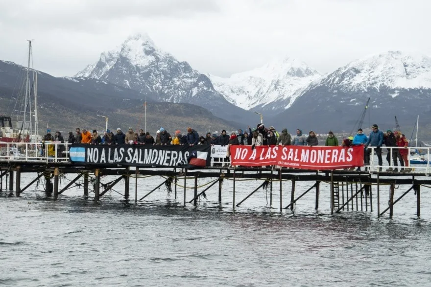 Ambientalistas piden sostener la prohibición de la salmonicultura