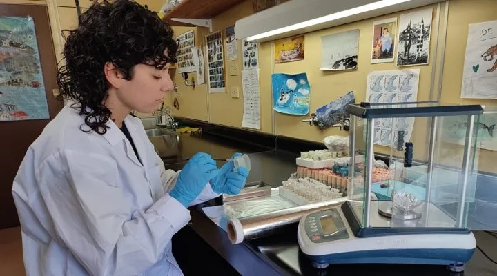 Organismos marinos bajo la lupa: la herramienta que revolucionará el estudio del Mar Argentino