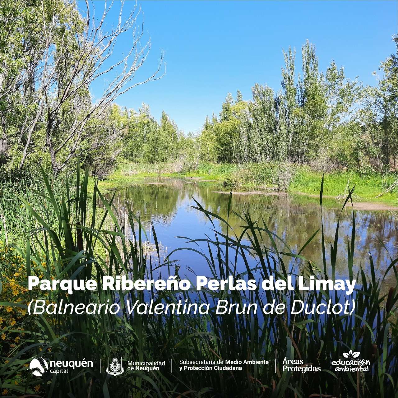 7. Parque Ribereno Perlas del Limay. Neuquén: Compromiso con la Naturaleza