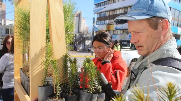Neuquén cierra el mes del árbol con exitosas jornadas de reforestación