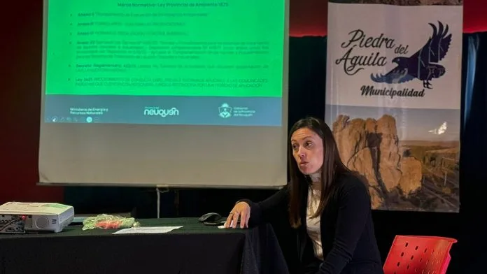 Se Celebró la Primera Mesa Técnica de Ambiente en la Región Limay Medio