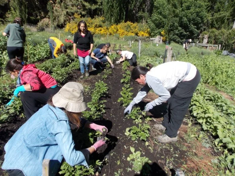 La agroecología se abre paso en la Patagonia