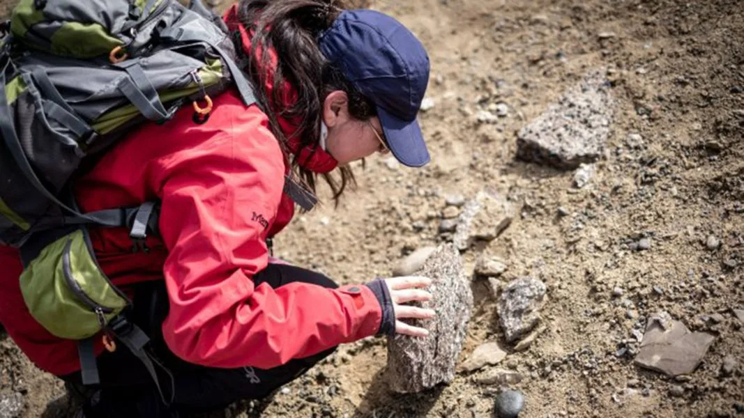  Descubren en la Patagonia chilena evidencias del meteorito que provocó la extinción de los dinosaurios