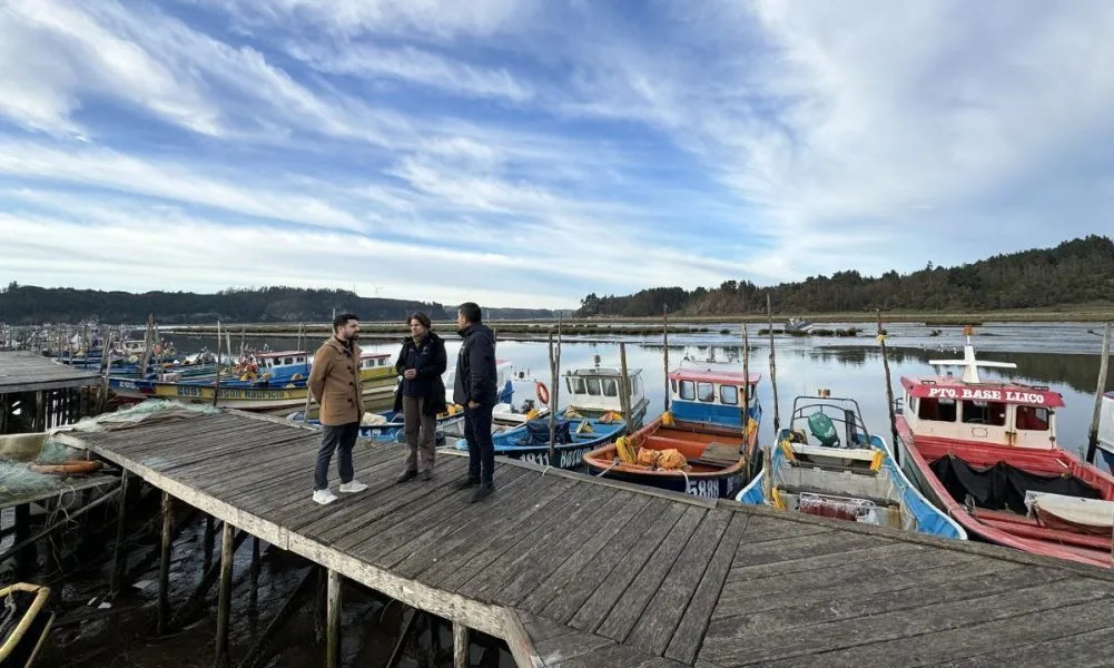 Humedal Tubul Raqui: nuevo santuario de la naturaleza en Biobío