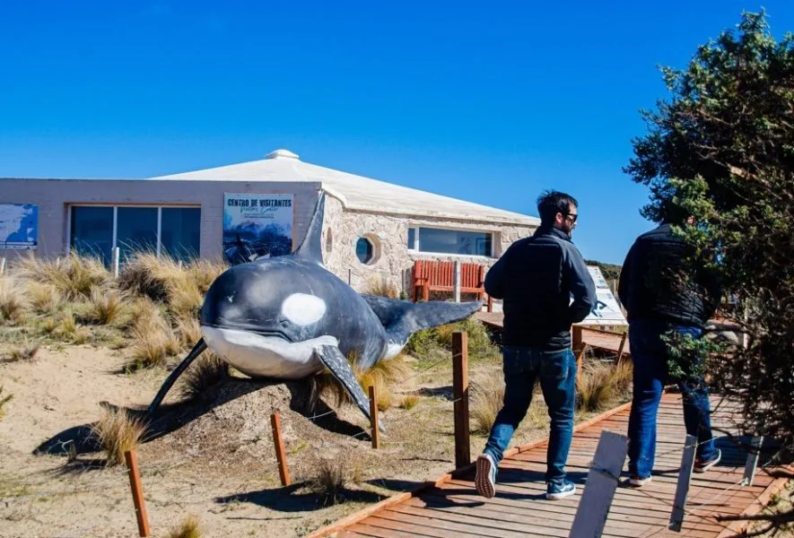 Nuevo sistema «Doble Día» en Península Valdés: reingreso gratuito en 7 días
