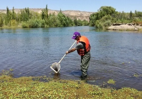 Curso sobre bioindicadores de calidad de agua en ecosistemas acuáticos