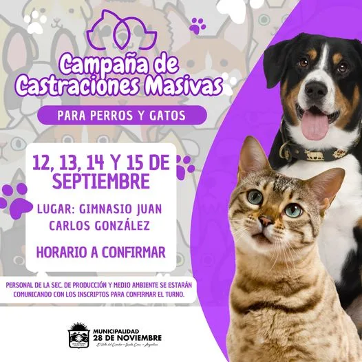 28 de Noviembre lanza campaña de castración masiva para mascotas en septiembre