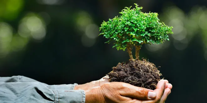 Conmemoración del Día Nacional de la Conciencia Ambiental: propuestas para Rio Negro