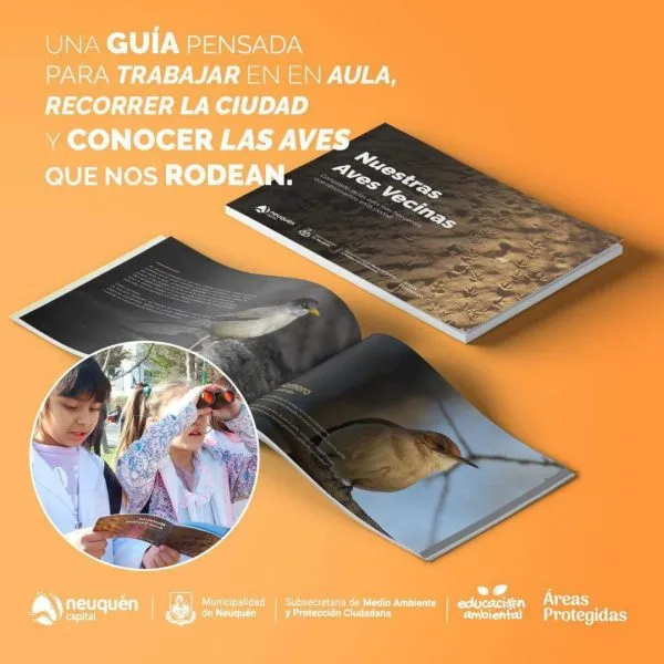 Nuestras Aves Vecinas: Un nuevo libro educativo para conocer la fauna urbana de Neuquen