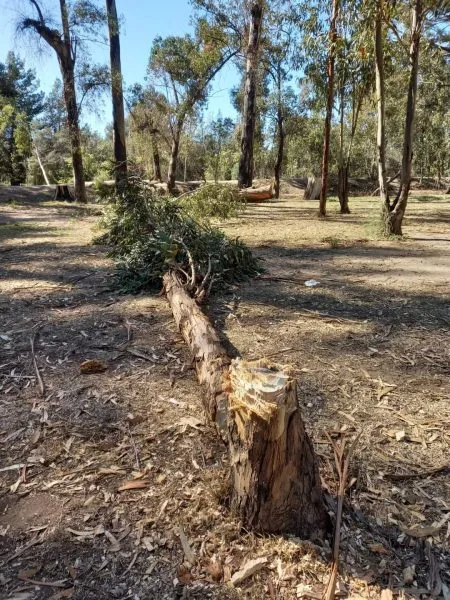 La Municipalidad de Patagones condena el vandalismo contra el medio ambiente