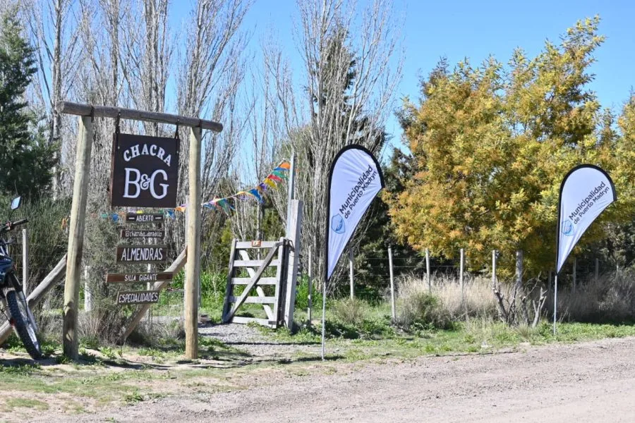 Puerto Madryn celebra el Día del Turismo con una Feria Ecológica y Gastronómica