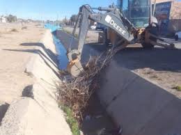 Municipio de Roca avanza en la limpieza del canal en el paseo los mirlos