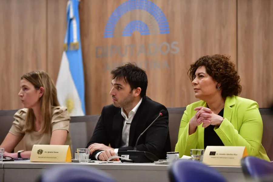 Torres promueve el hidrógeno verde en Argentina ante la Cámara de Diputados