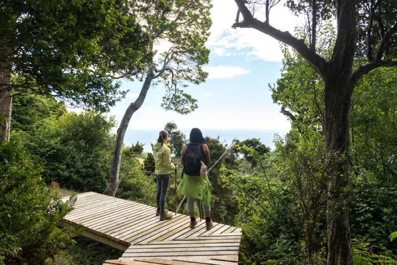Chile aspira a destacar en los World Travel Awards con cinco nominaciones