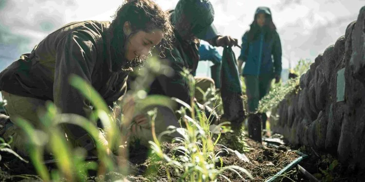 Coyhaique se prepara para una jornada de reforestación urbana este 5 de octubre