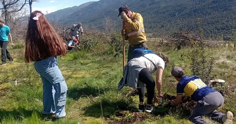 Comunidad se une para restaurar bosques nativos en El Bolsón