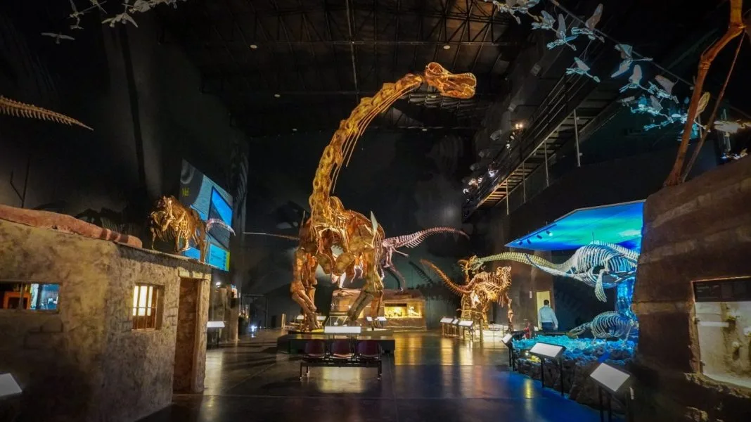 El Gobierno de Chubut apoya el expansión internacional del Museo Paleontológico «Egidio Feruglio»