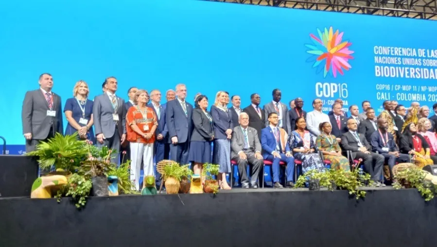 Avanza el diagnóstico sobre los recursos marinos en el Golfo San Matías con la campaña ReDe 2024