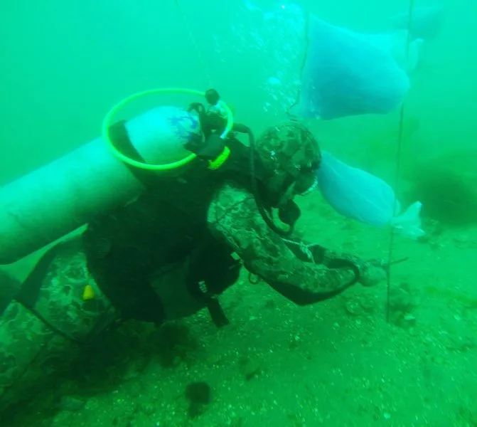Inicia el primer proyecto de investigación sobre repoblamiento de Vieira Tehuelche en el Golfo San José