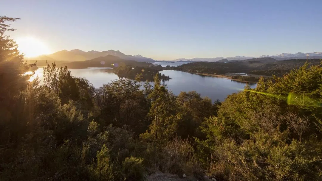 Río Negro recibe U$S 1,3 millones para proteger sus bosques andino-patagónicos