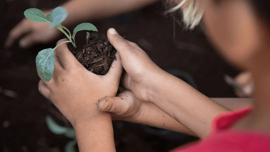 Río Negro abraza la EDUCACIÓN AMBIENTAL