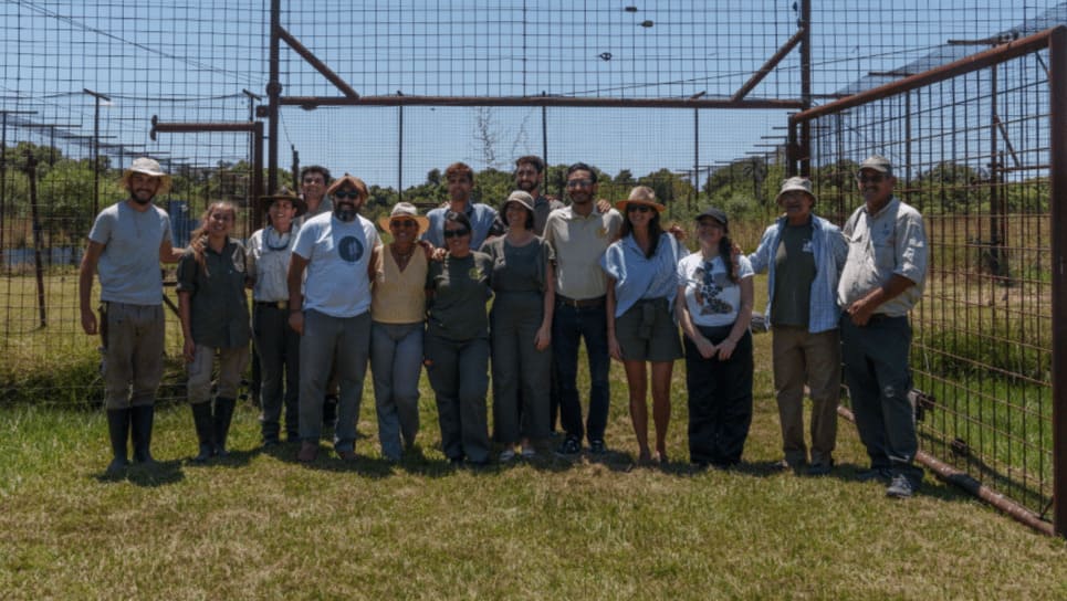 Takajay, en nuevo Yaguareté