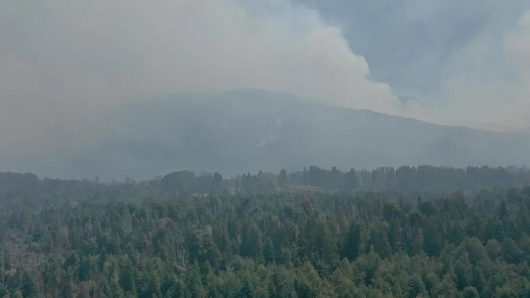 Cierra el Área Natural Protegida Río Azul Lago Escondido por Riesgos Post-Incendio