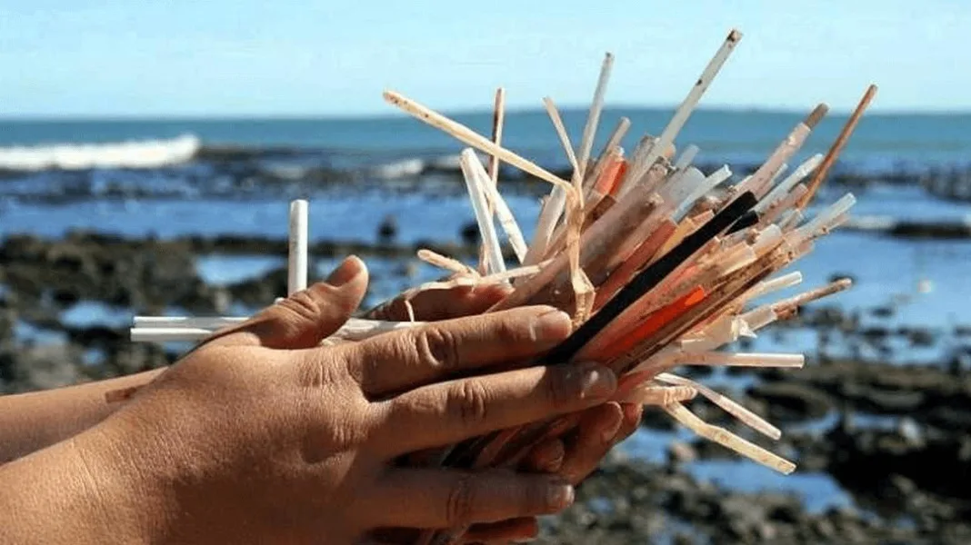 Día Mundial Sin Sorbete: Río Negro Refuerza su Compromiso Ambiental con Nuevas Medidas