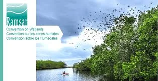 Los Sitios Ramsar: Un compromiso global por la conservación de los humedales