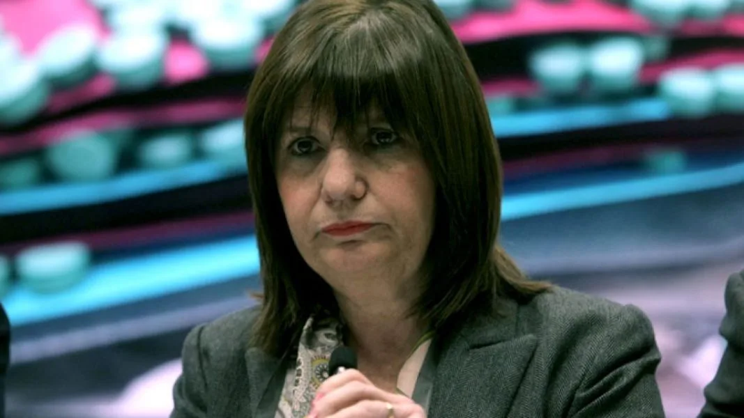 El día que Patricia Bullrich reveló que la RAM tenía financiamiento de una ONG inglesa