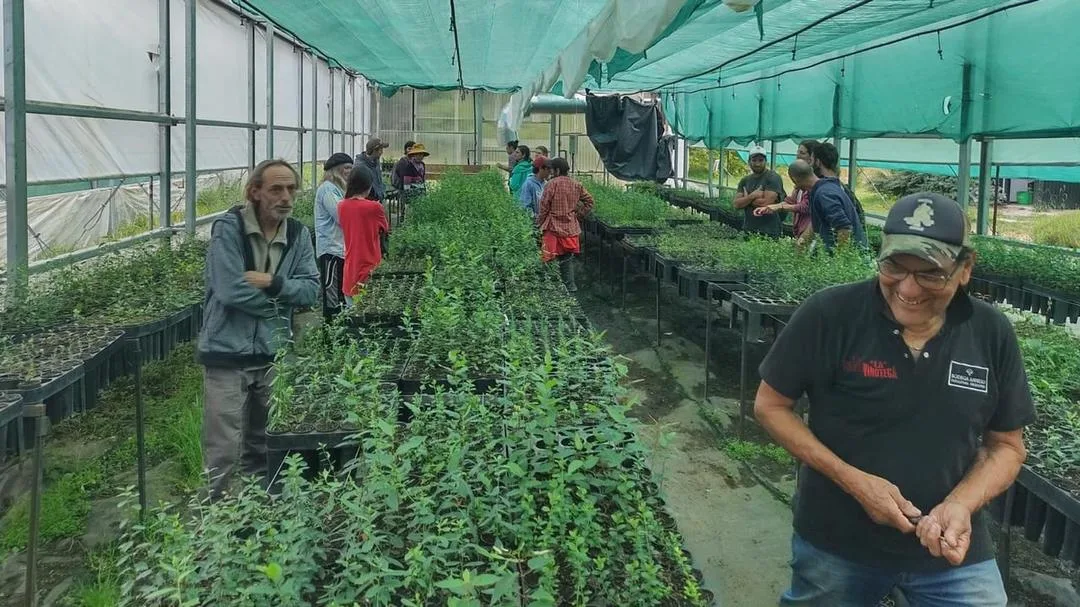 Éxito en la jornada de puertas abiertas del Vivero Forestal Mallín Ahogado: Un paso clave hacia la restauración del Bosque Andino Patagónico