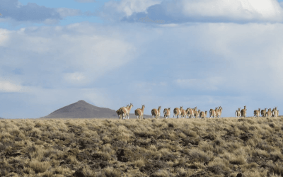 1741975500_fd3c384baf9c7551a43a
