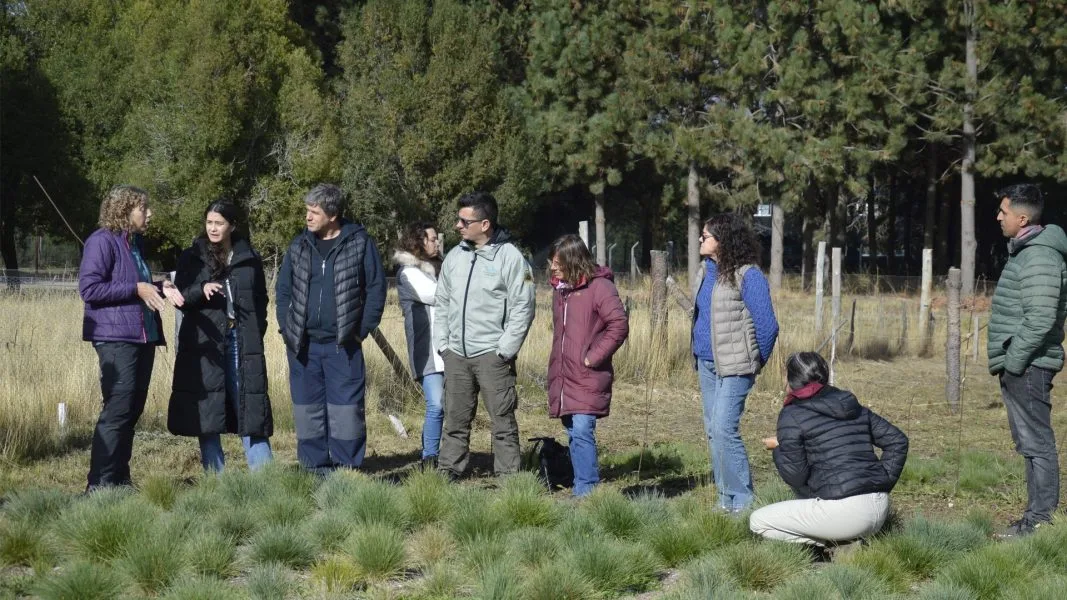 Río Negro Pionero en la Creación de un Área Productora de Semillas Nativas