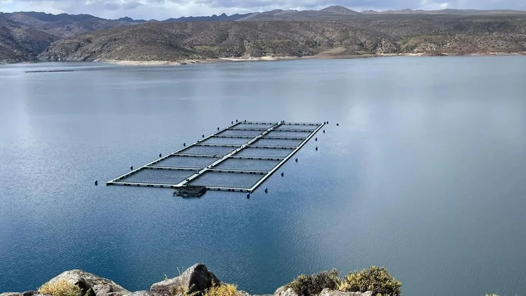¿Qué futuro tiene la acuicultura en Piedra del Águila? Comienza un estudio clave