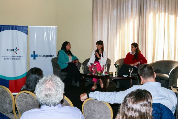 Reunión sobre el Modelo Energético Neuquino