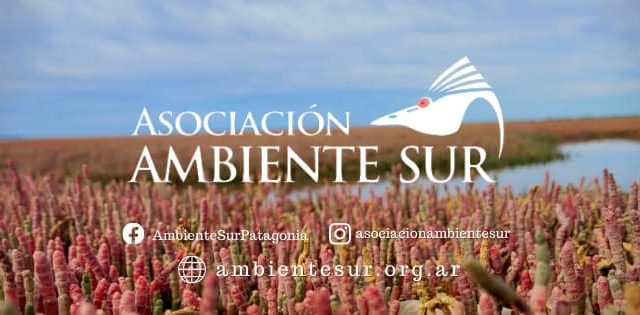 Asociación Ambiente Sur - Directorio Ambiental