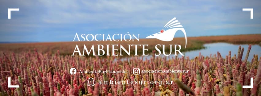 Asociación Ambiente Sur - Directorio Ambiental
