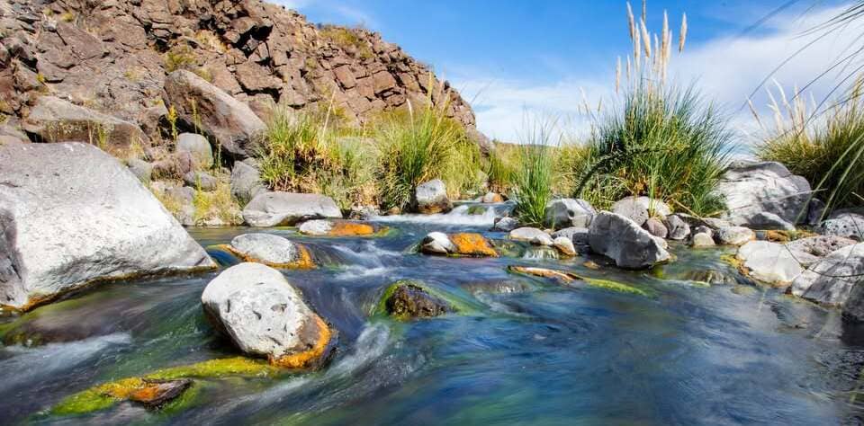 Fundacion Somuncura - Directorio Ambiental