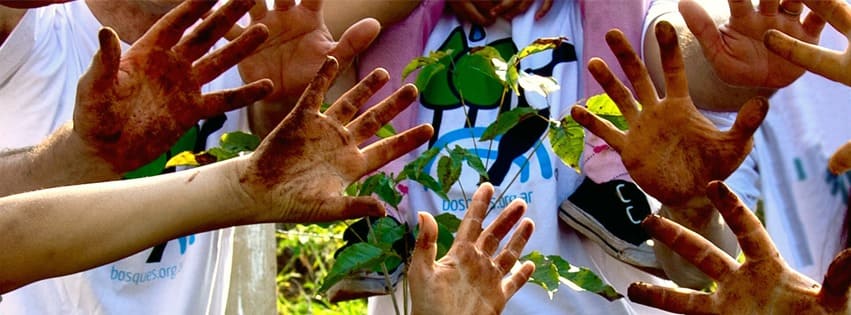 Fundación Bosques Nativos - ONG Ambientales