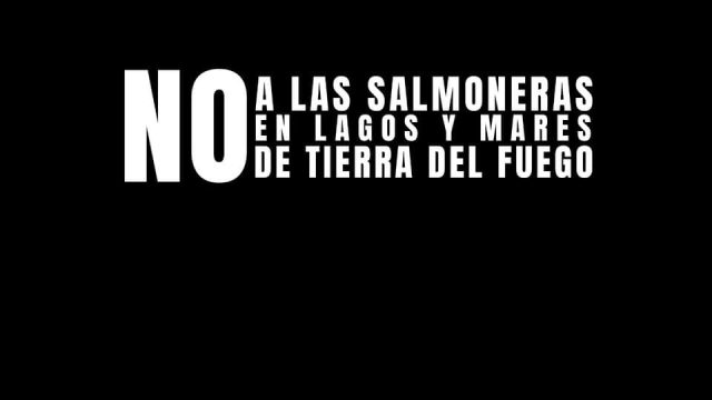 Asociación Manekenk - Directorio Ambiental