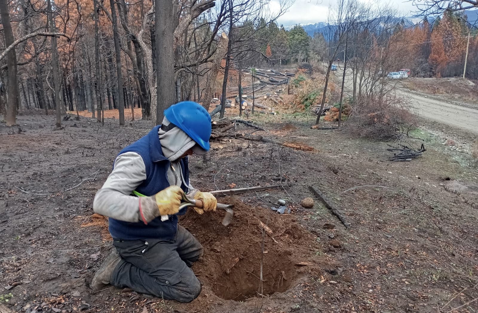 Medición Forestal