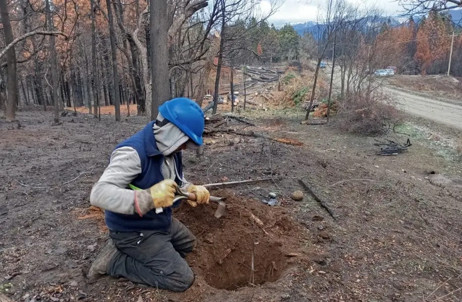 Medición Forestal