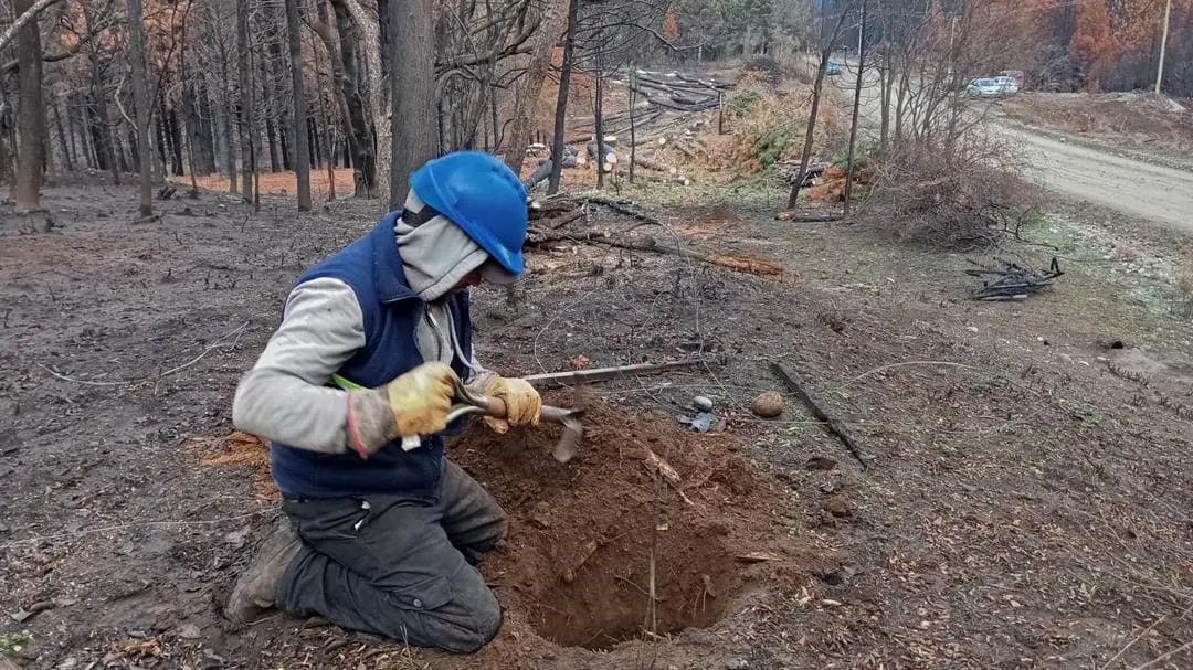 El Guadal: Río Negro consolida un modelo ejemplar de manejo del Bosque Nativo en la Región Sur
