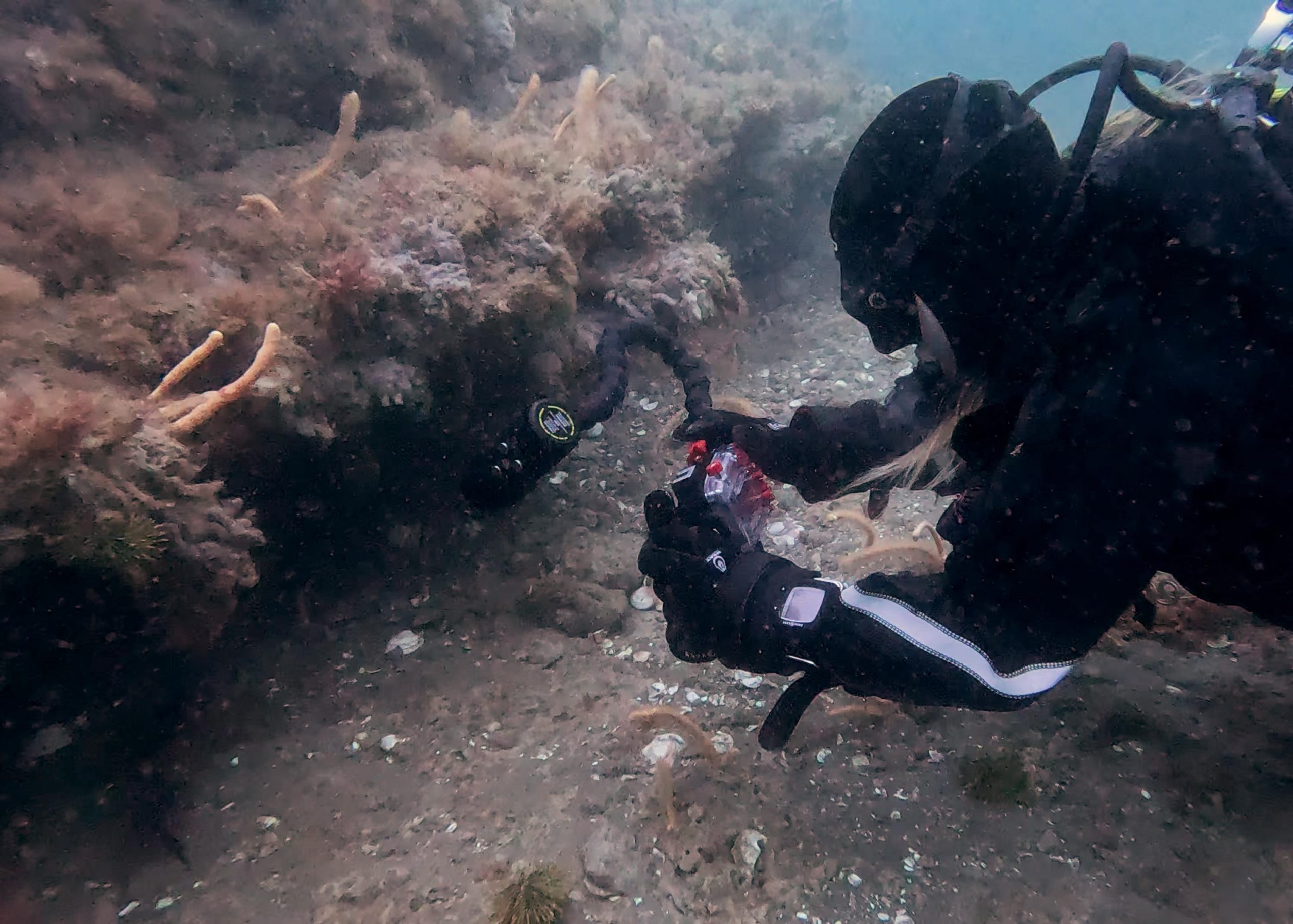 Guardianes del Atlántico: Fundación Por el Mar capacita a jóvenes agentes de conservación en la primera línea de defensa ambiental
