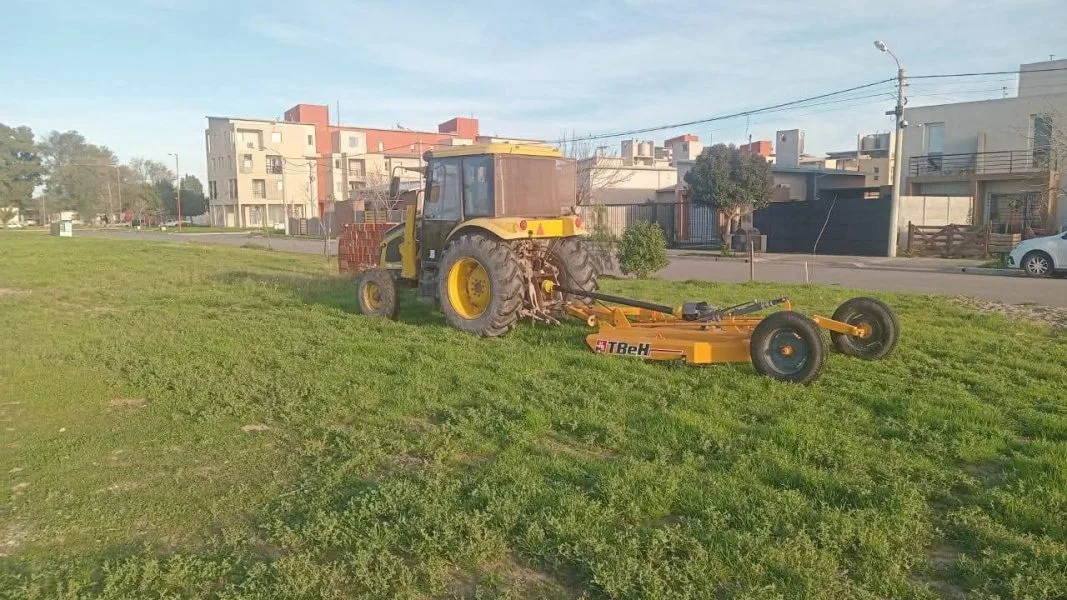 Patagones avanza con mejoras verdes que transforman el paisaje urbano en el Día Mundial del Medio Ambiente