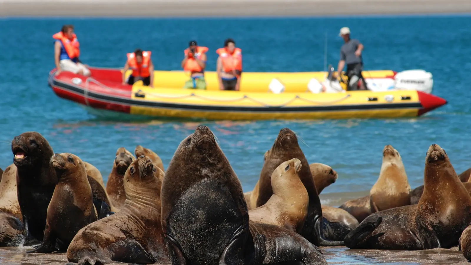 Turismo Sustentable en Rio Negro