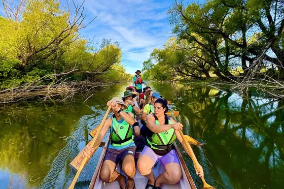 Plantaran ejemplares de sauce criollo en las costas del Limay